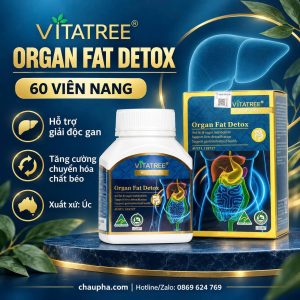 TPBVSK Vitatree Organ Fat Detox – Hỗ trợ chuyển hóa chất béo, hộp 60 viên
